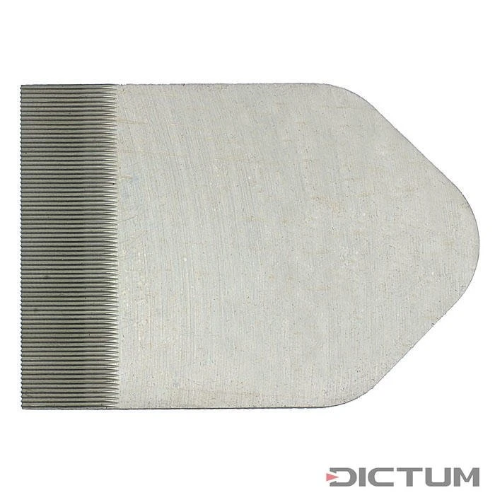 Fer Dentelé Pour Wastringue Veritas, A2