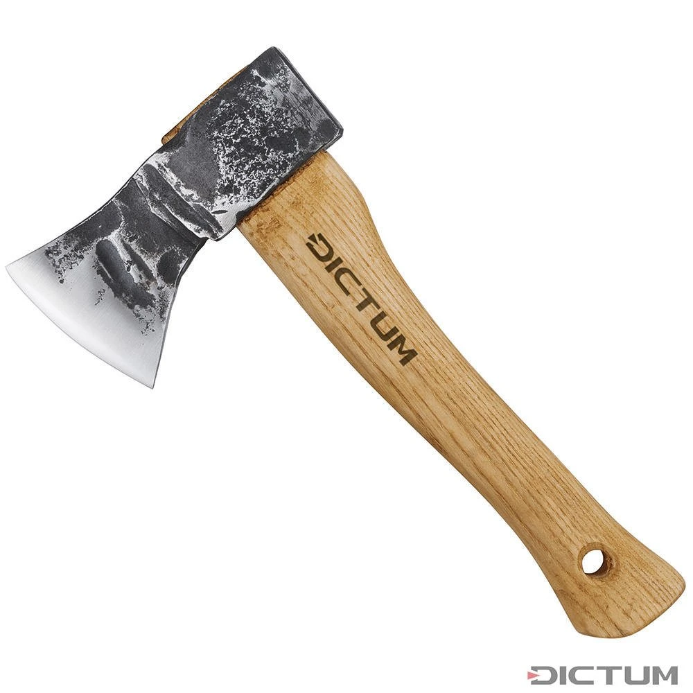 Hachette DICTUM Avec étui En Cuir