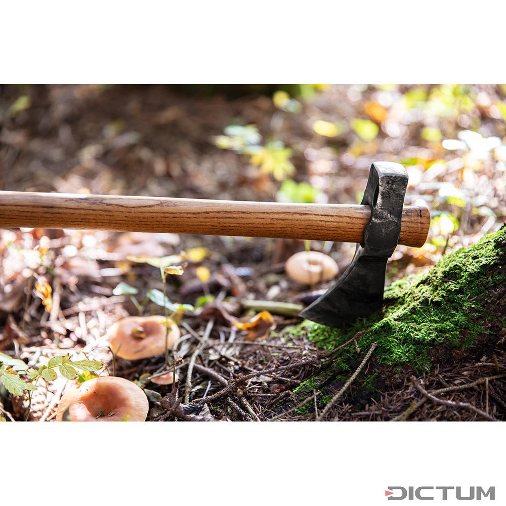 Hache De Plein Air DICTUM Avec Tête De Frappe, Avec étui En Cuir Standard – Image 6