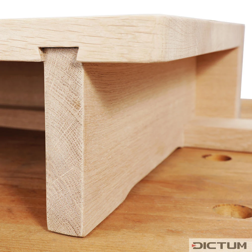 Presse D’établi Mobile Moxon Vice DICTUM – Image 5