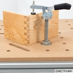Poteau De Montage DICTUM SSP Pour Serre-joint Rapide -Outils du Menuisier 728990 03 A WE 8 DICTUM Montagepfosten SSP f r Schnellspanner WZ jpg c1
