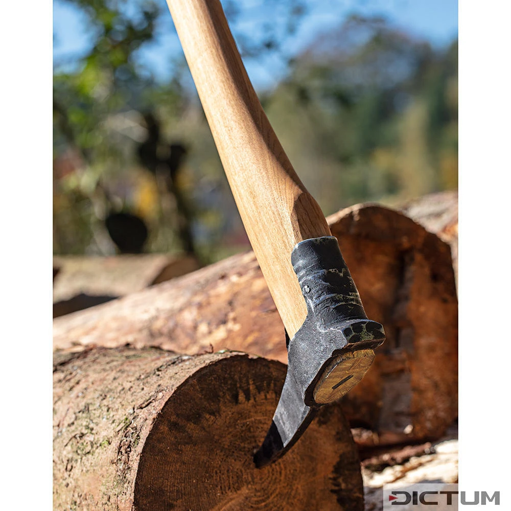 Sapie Forgée à La Main DICTUM 3 Sapie Forgée à La Main DICTUM – Image 3