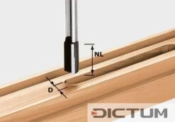 Festool Fraise à Rainurer HW S8 D10/25